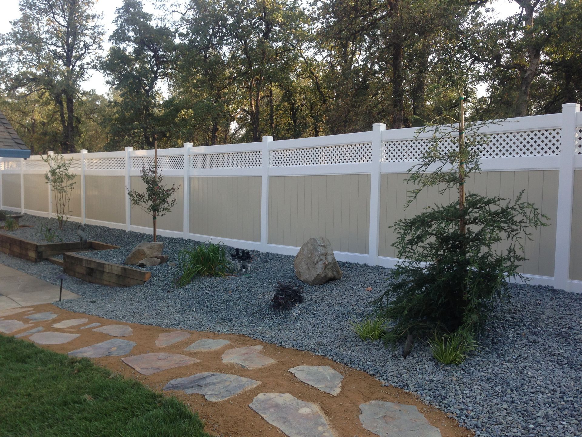 Landscaped backyard with stone path, gravel beds, young trees, and a white lattice fence