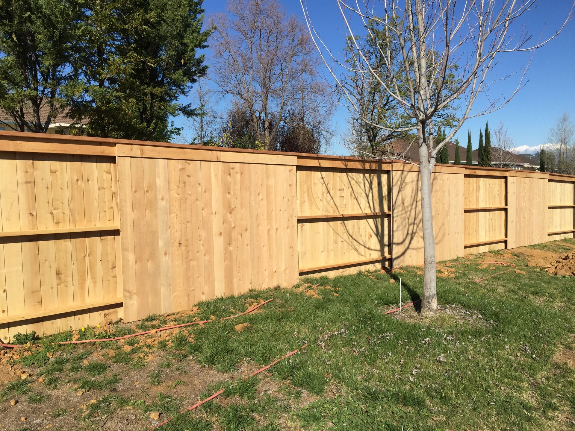 Wooden privacy fence beside a grassy yard with a young tree and clear blue sky