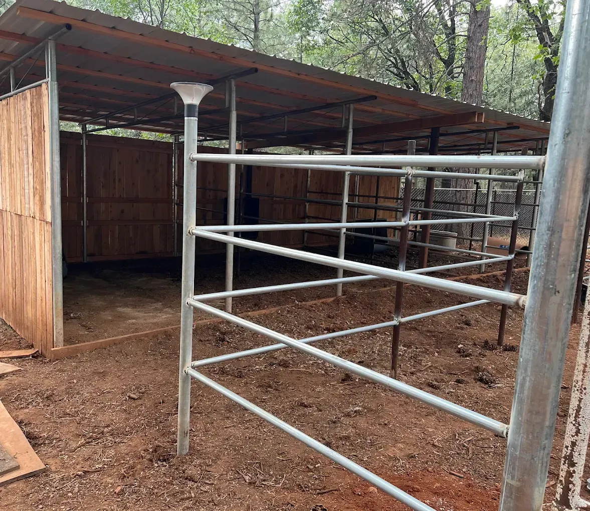 Metal livestock pen beside a wooden shed in a wooded outdoor area