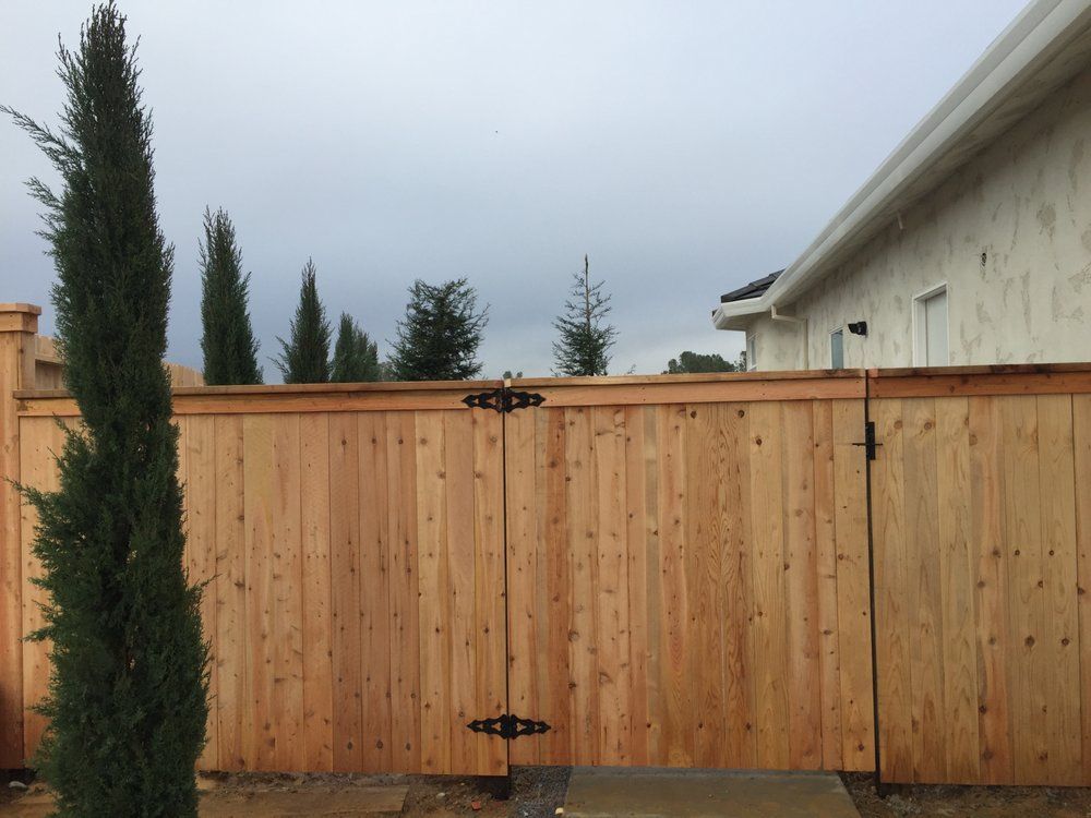 Wooden backyard fence with tall cypress trees under a cloudy sky