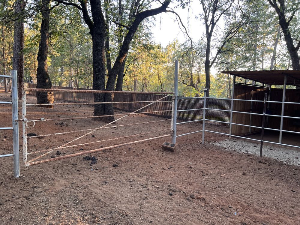 Wooden corral gate and fence in a dirt yard with trees and a shed in the background
