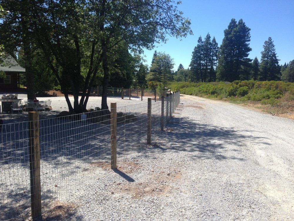 Gravel driveway beside a wire fence and trees under bright sunlight