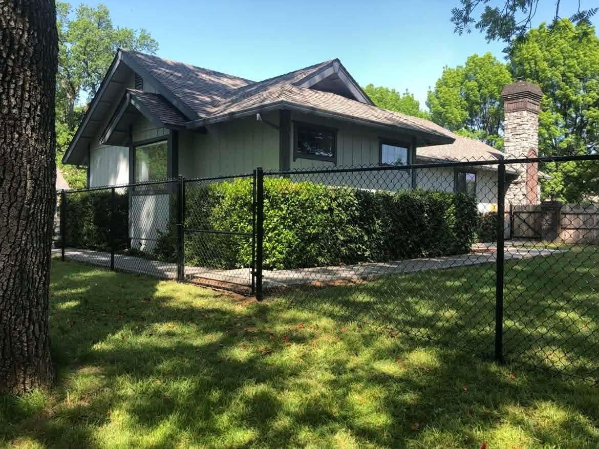 Suburban house with a steep roof, trimmed hedge, and black metal fence in a sunny yard