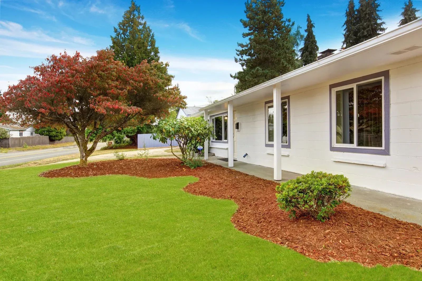 A one-story house with white siding and purple window trim; a front yard with green grass and mulch beds.