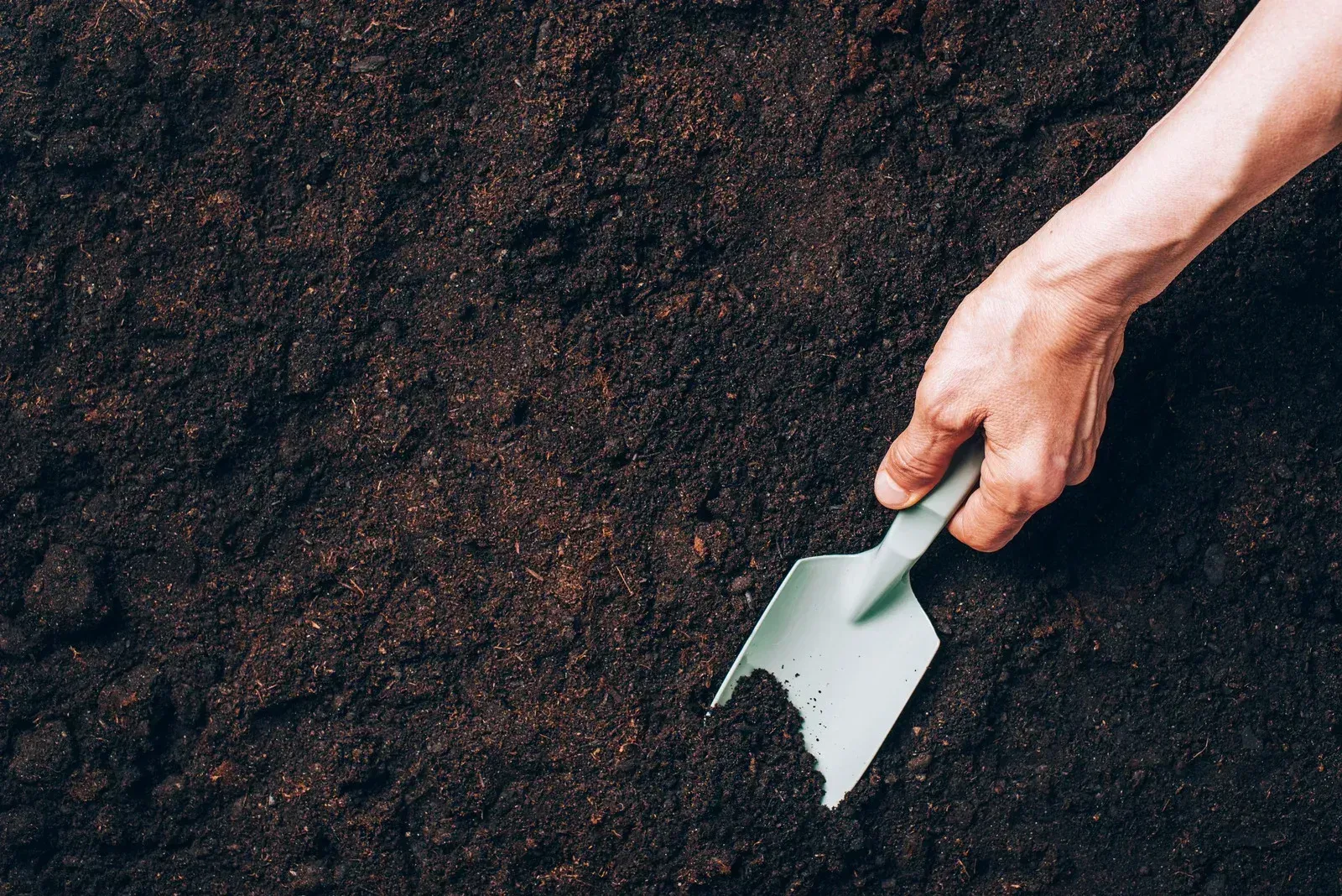 A person is digging in the dirt with a shovel.