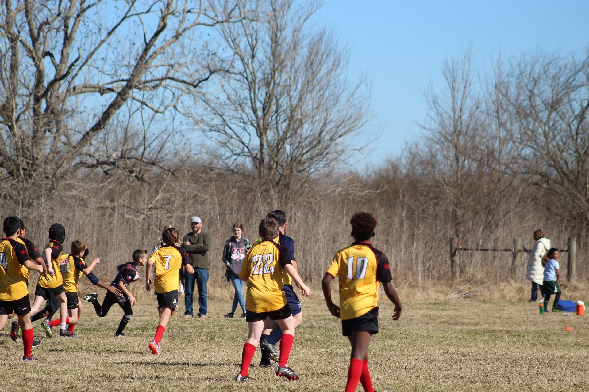 Kids playing rugby on a grassy field; several wearing yellow jerseys, others in dark colors; spectators in background.