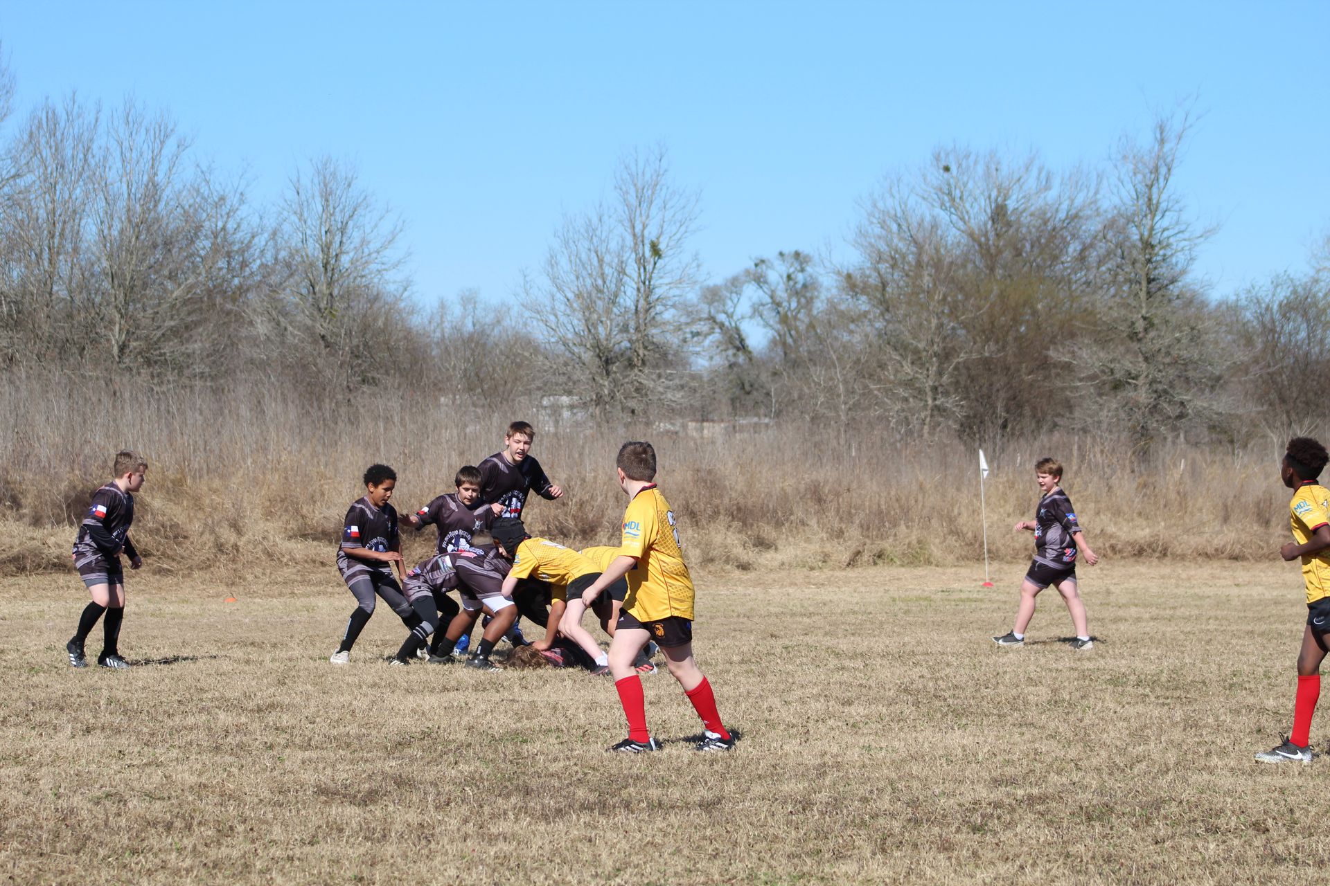 Rugby players in black and yellow uniforms on a field. A scrum is forming.