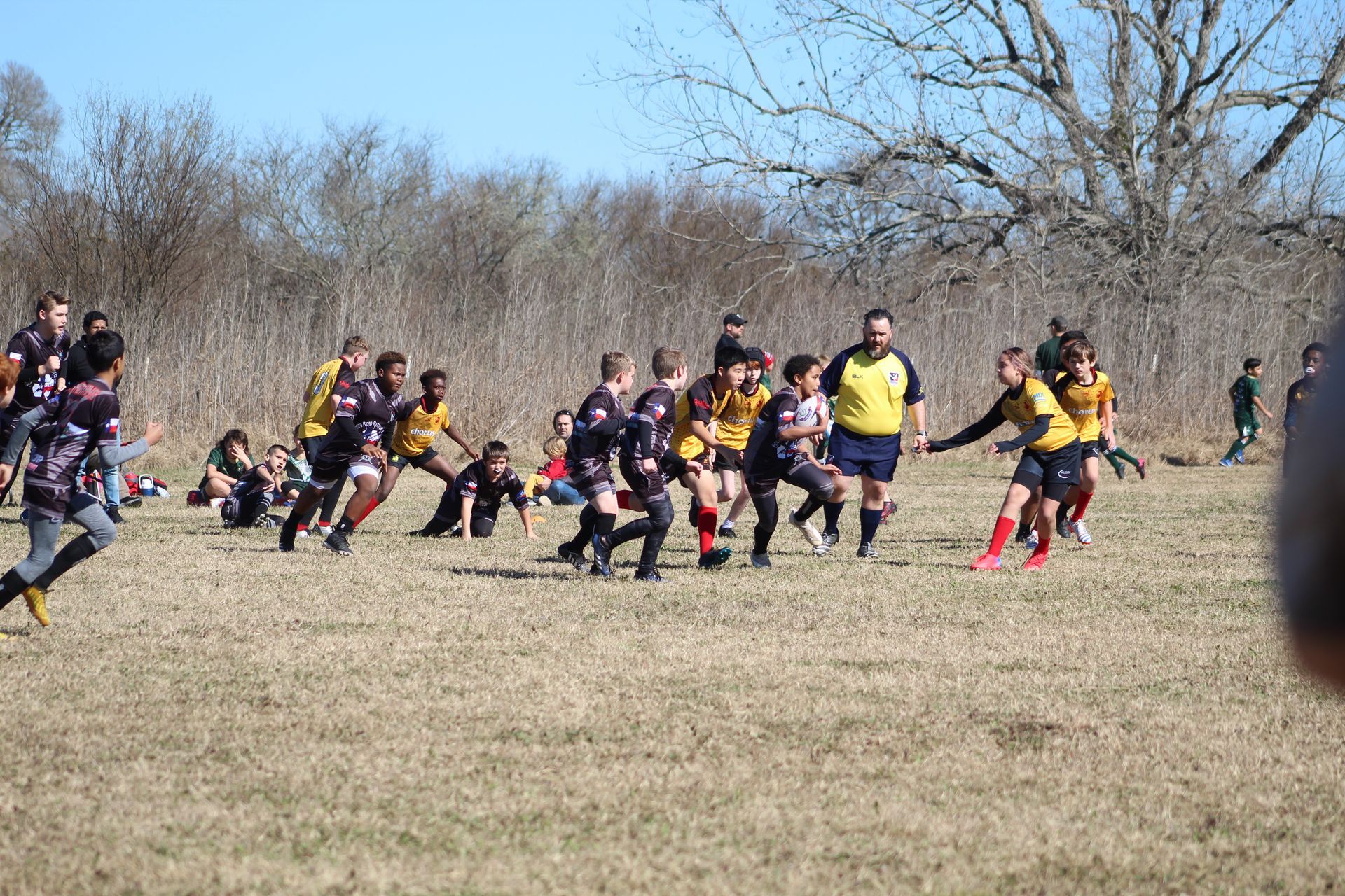 Rugby game: Players in black and gold jerseys on a brown field, referee in yellow, trees in background.