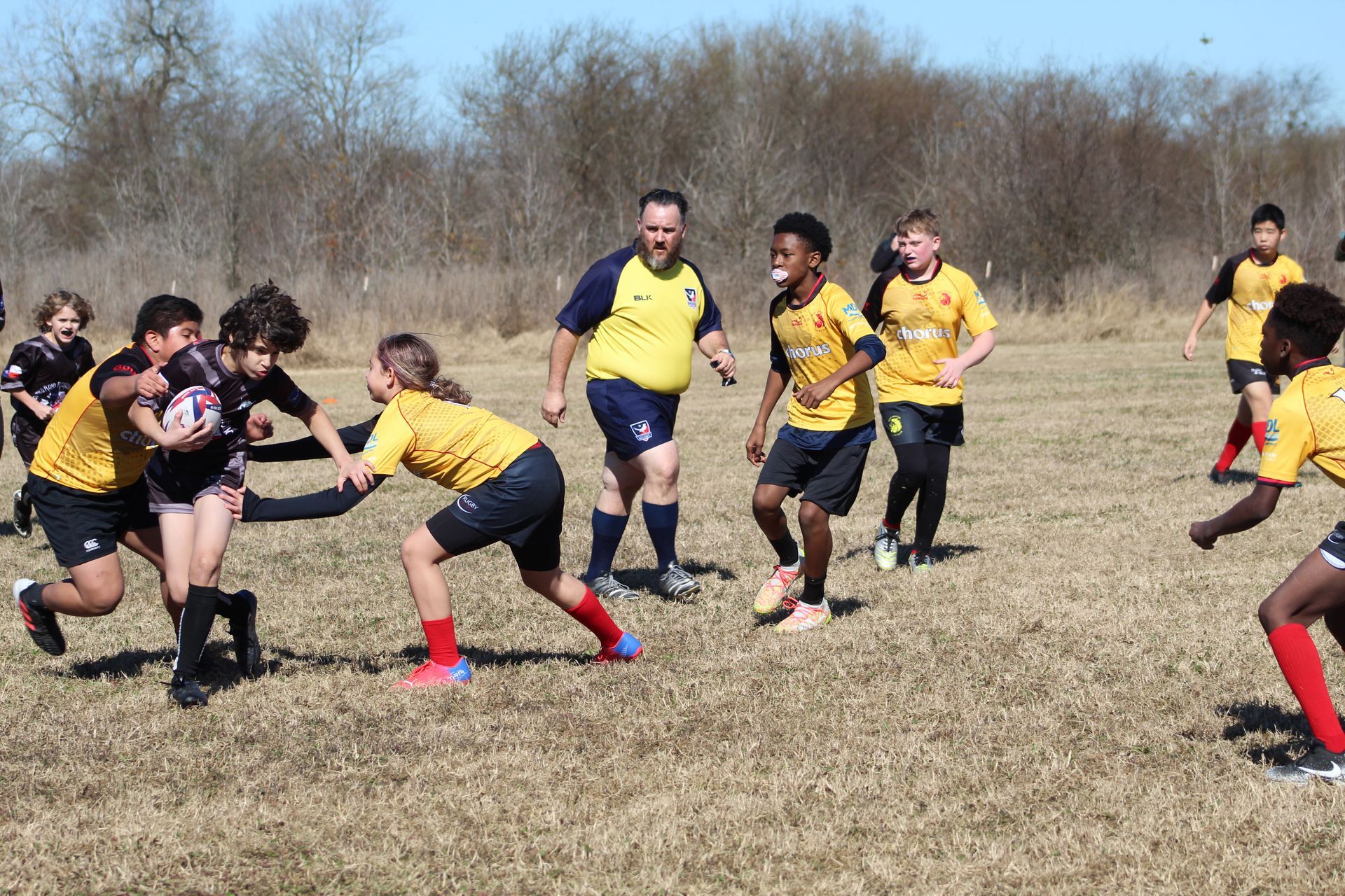 Rugby match: Players in yellow and black jerseys, tackling for ball on grassy field; referee watches.