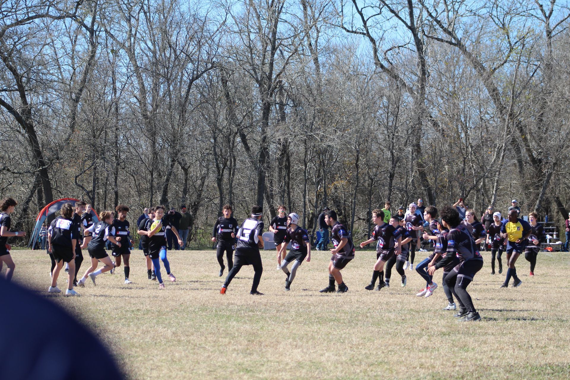 Rugby players in black and white uniforms on a grassy field, trees in the background.