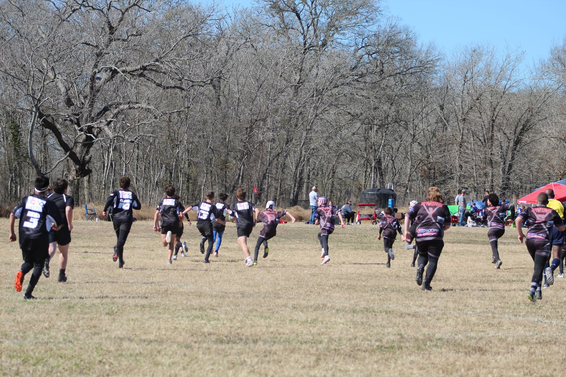 Cross-country runners in black and pink uniforms sprint across a grassy field near bare trees on a sunny day.