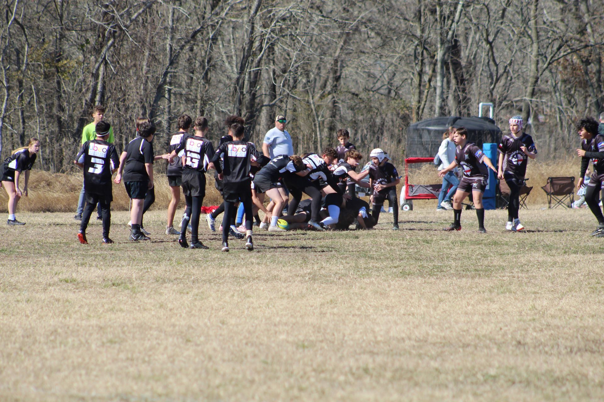Rugby players in black and white uniforms on a grassy field, trees in the background.