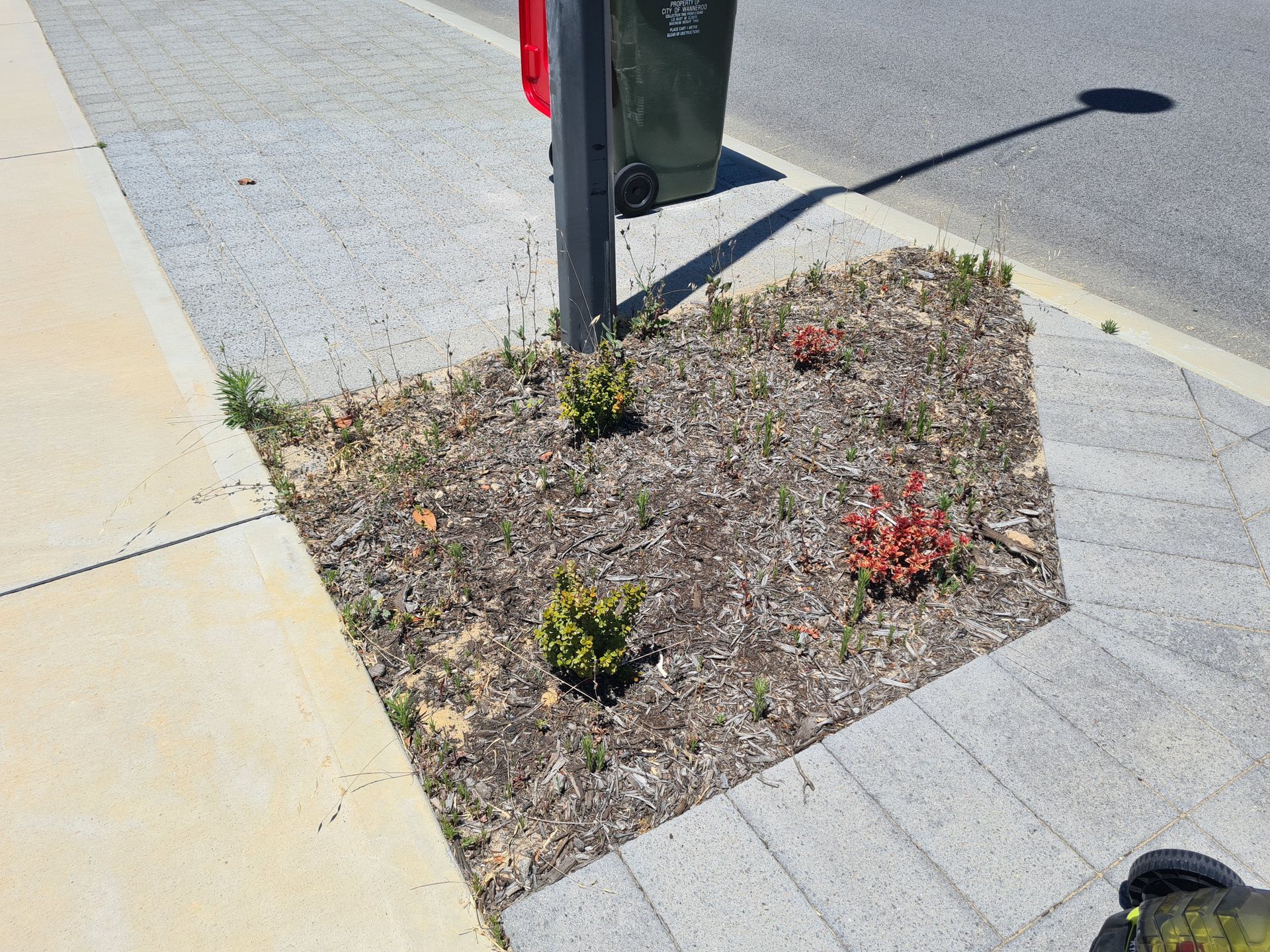 Front yard completed weeding service