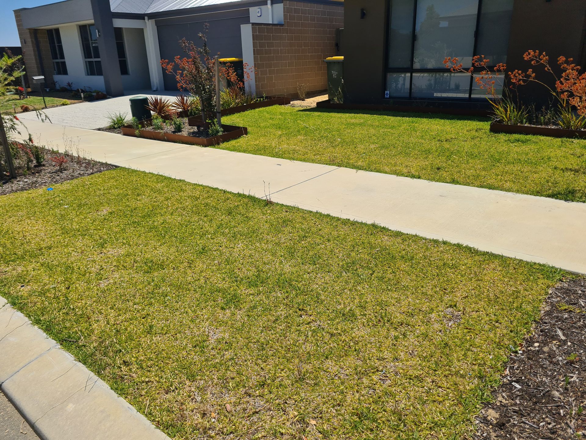 Front lawn mowing Eglinton