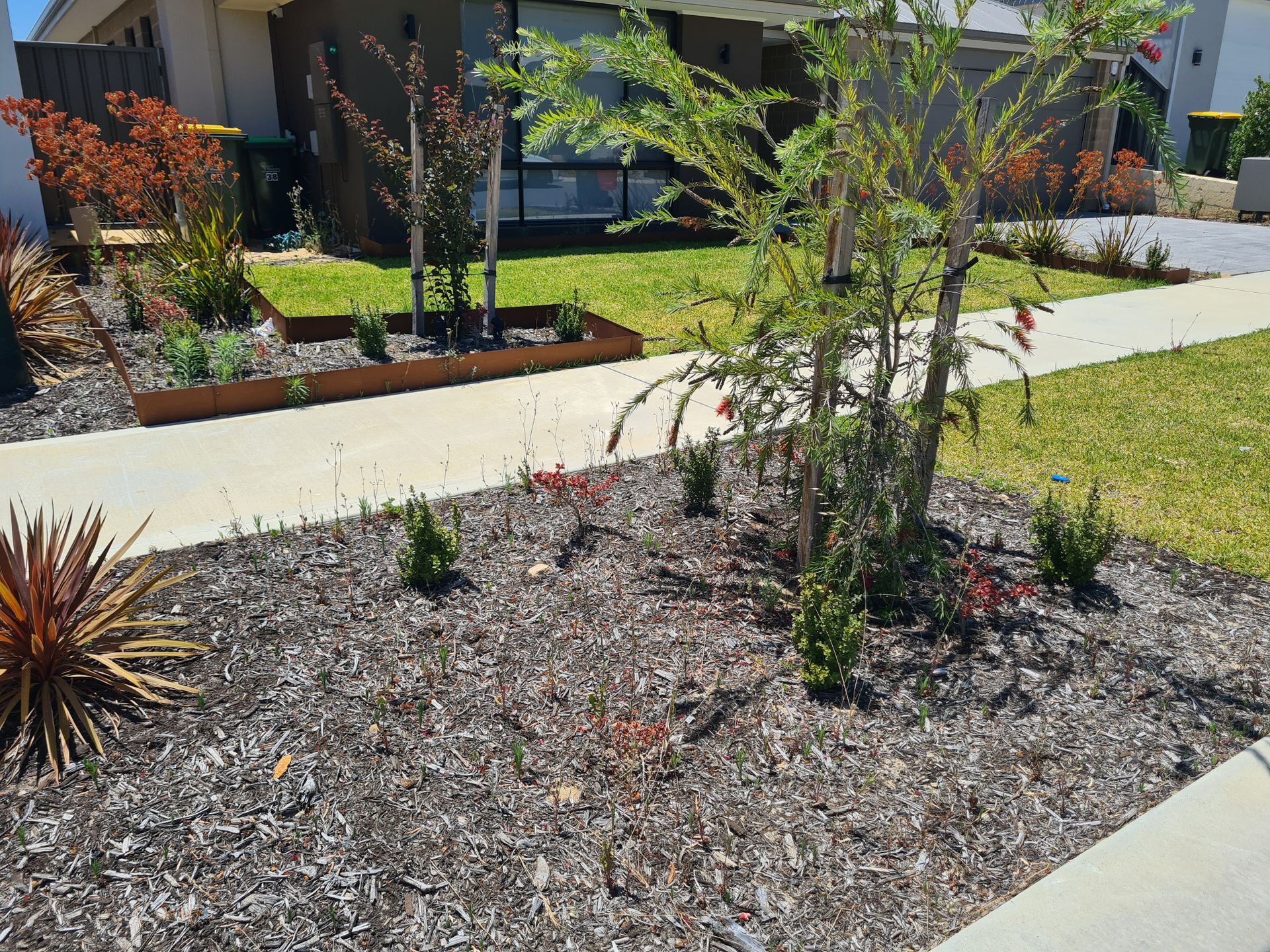 Front garden completed weeding service