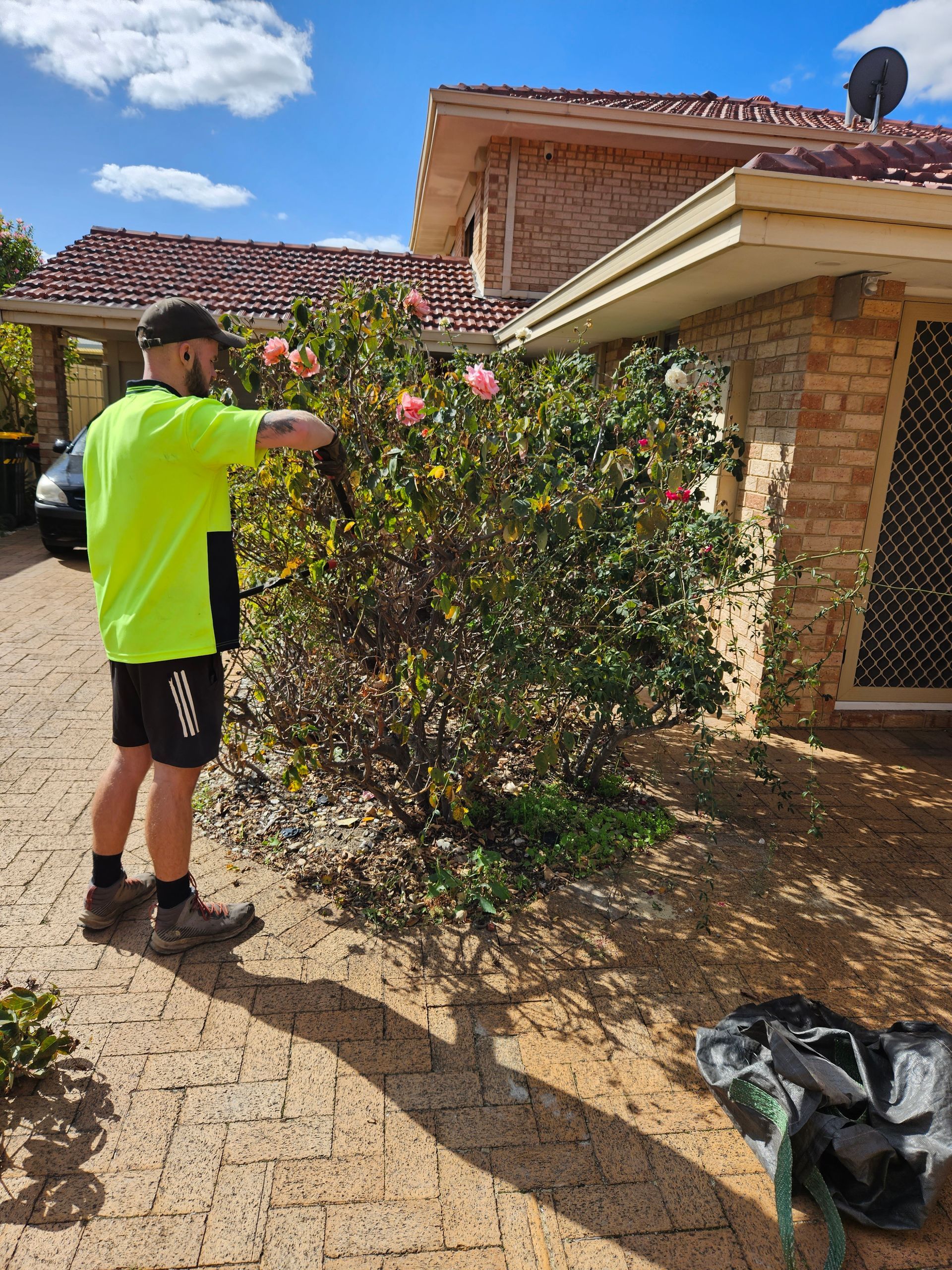 Two Glove Gardener Two