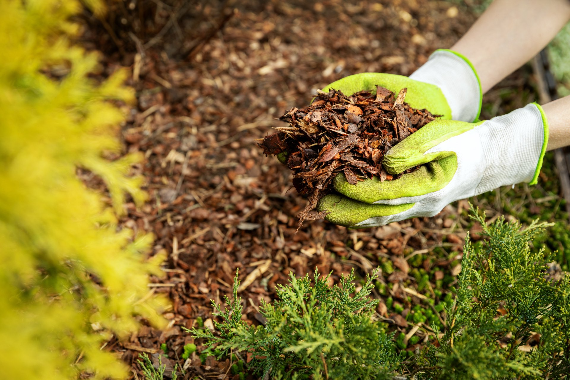 Mulching Perth | Two Gloves