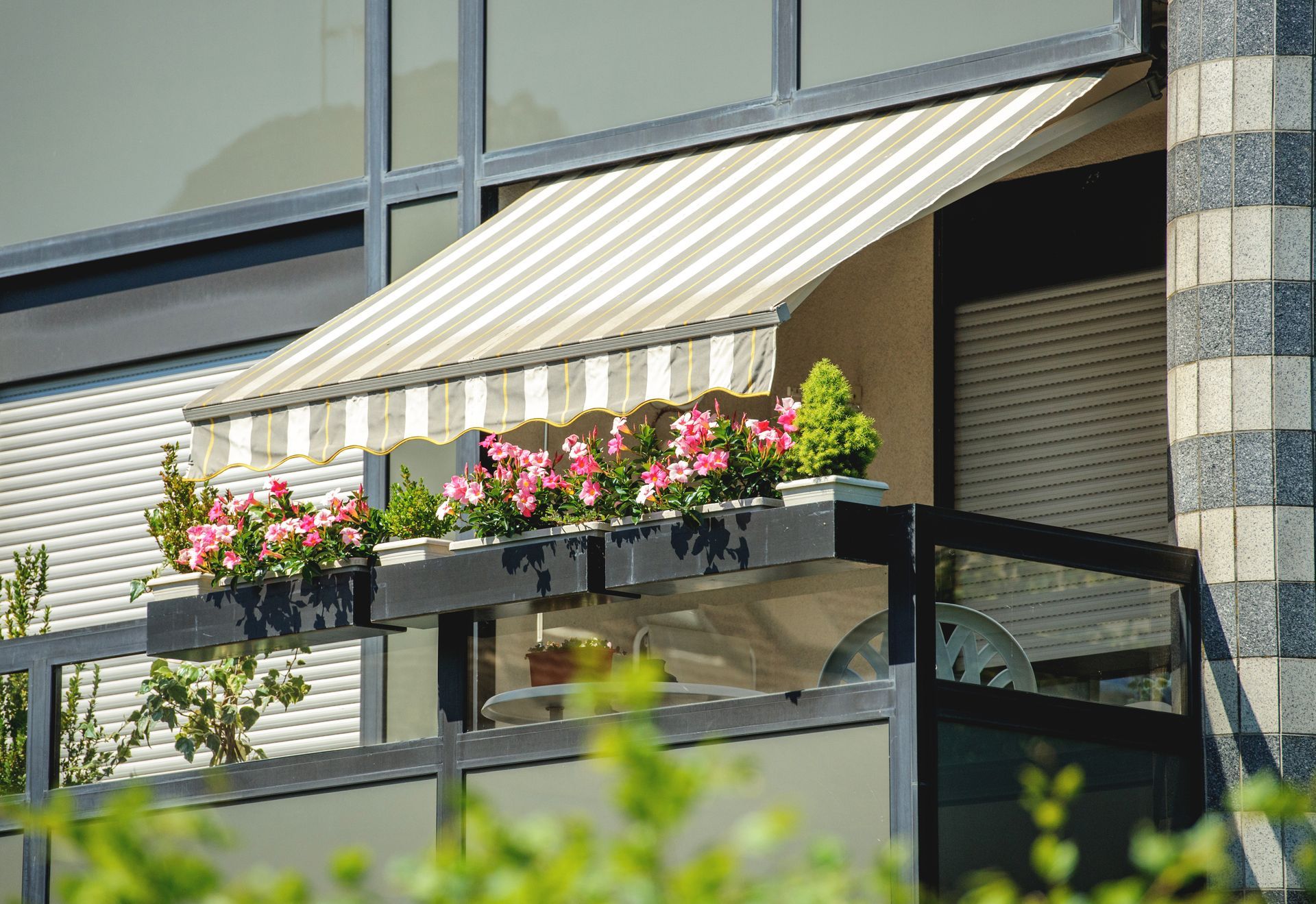 Balcony potted plants for privacy