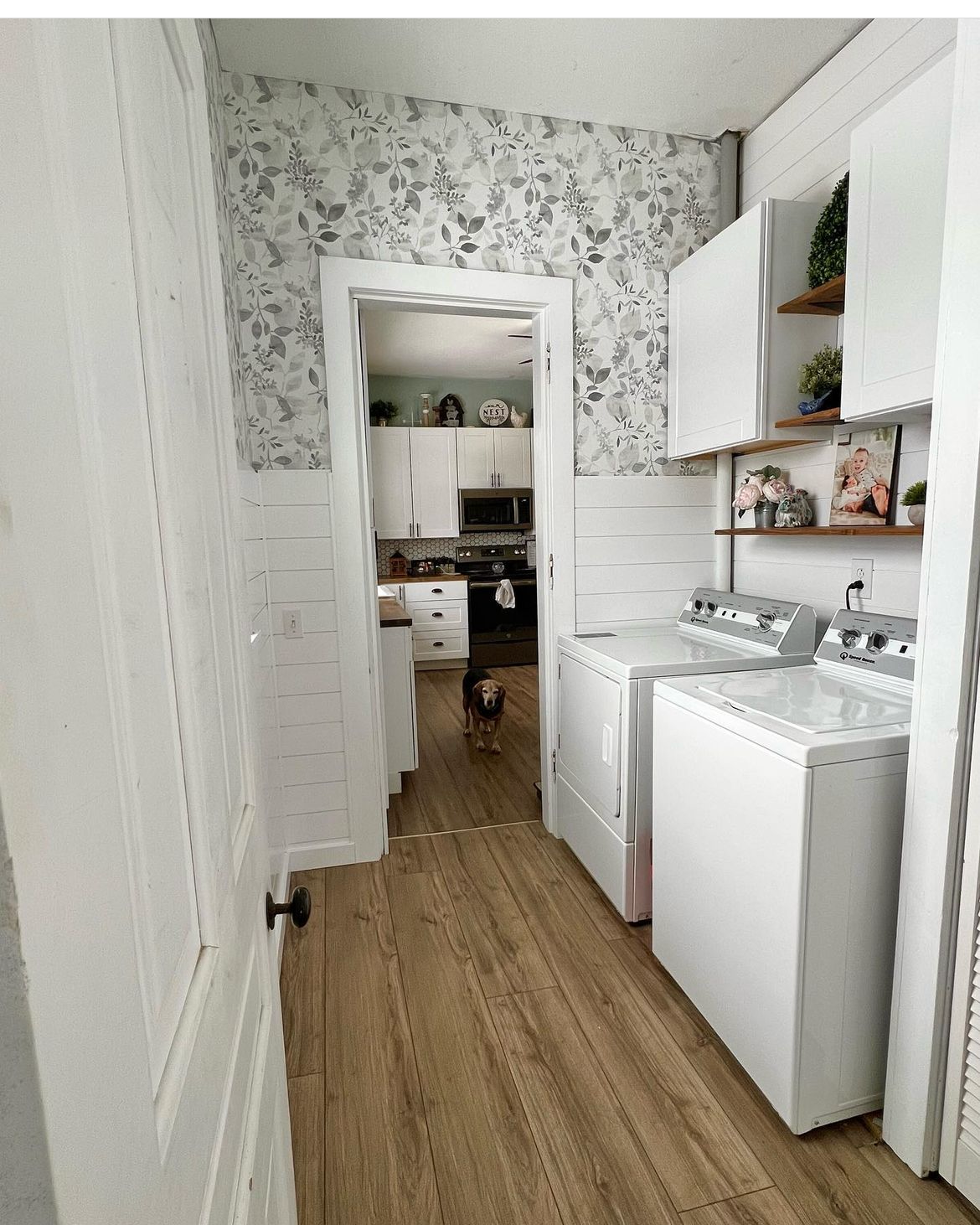 Uma lavanderia com lavadora e secadora e um cachorro parado na porta.