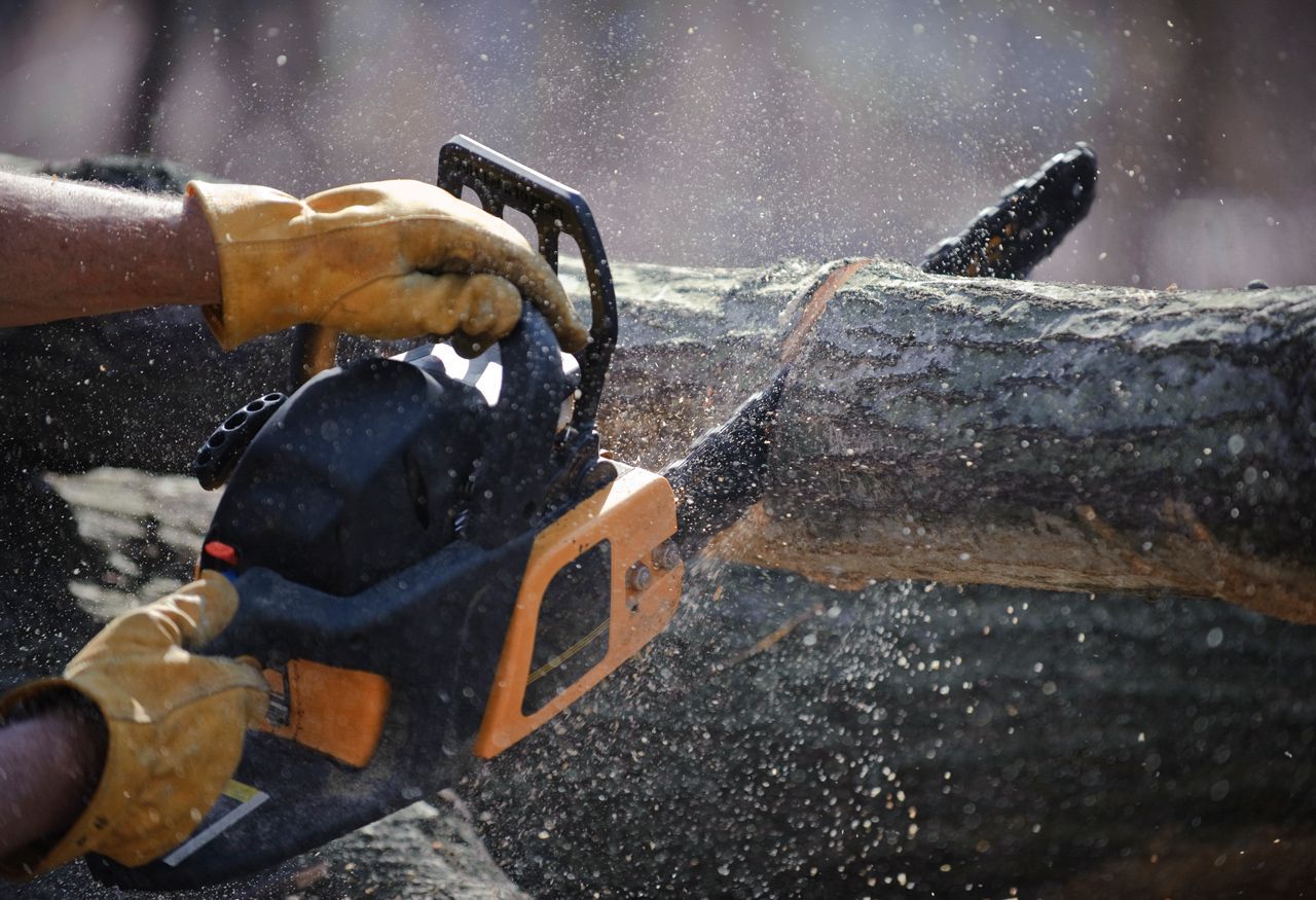 A person is cutting a log with a chainsaw.