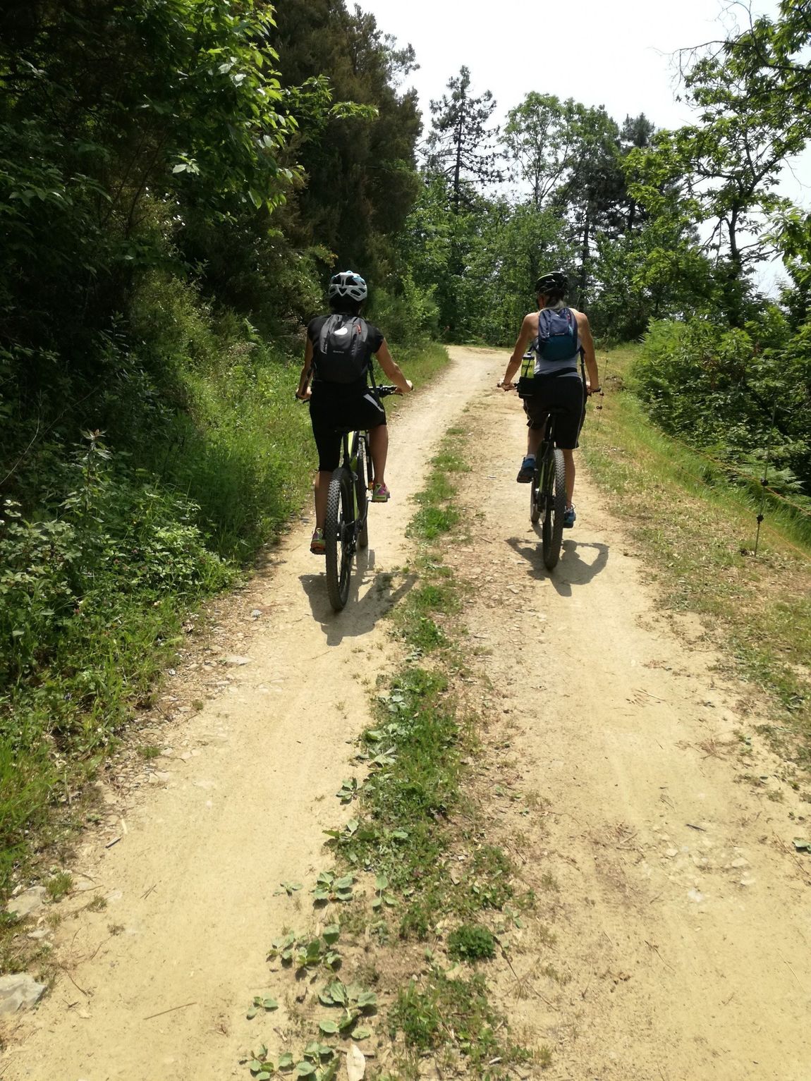 Coppia di ciclisti su mountain bike