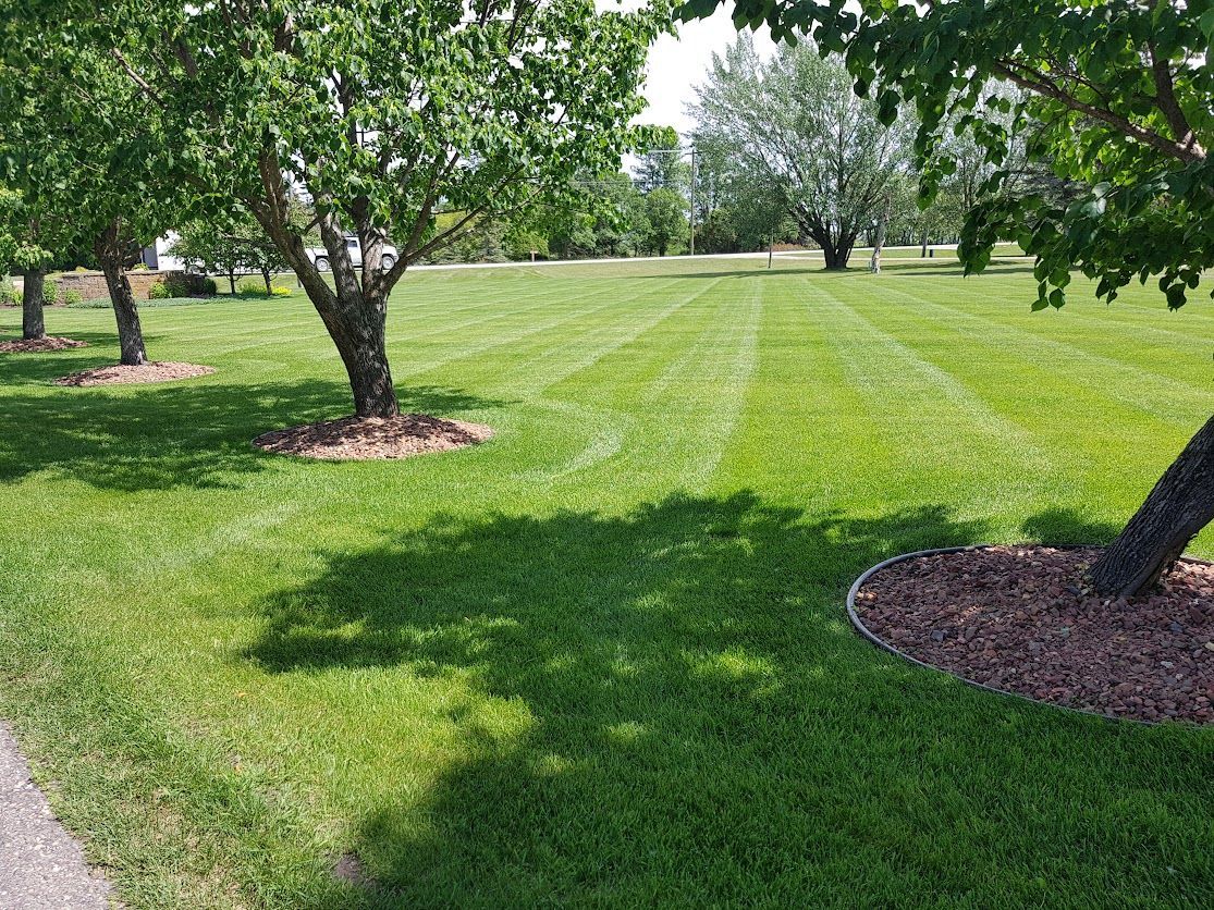 completed lawn mowing service