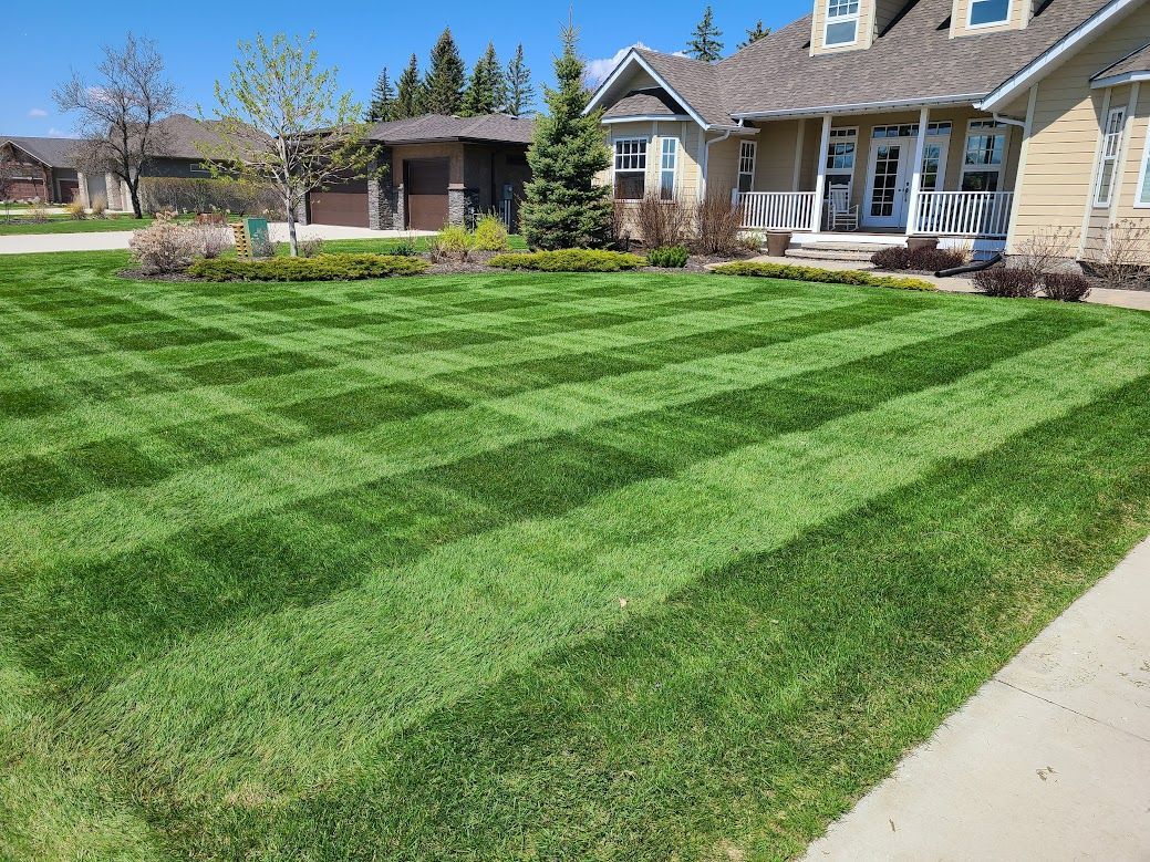 Before & After Landscaping & Lawn Care Photos Steinbach Mb