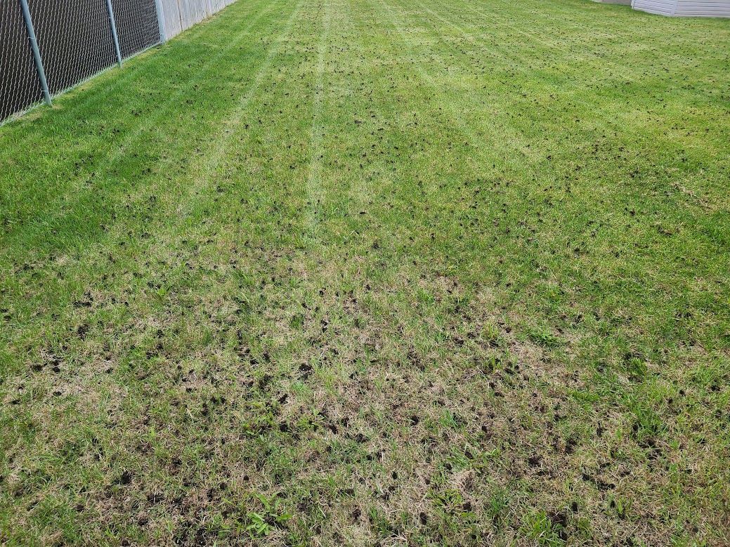 completed aeration service