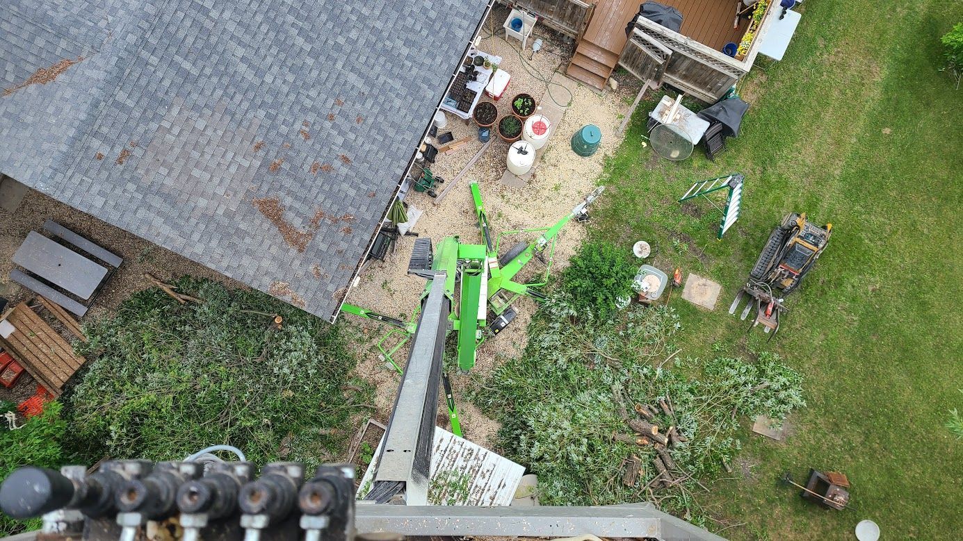 aerial view in bucket truck for tree removal