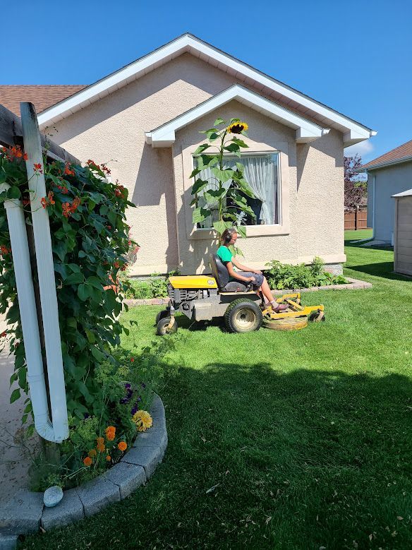person mowing back yard