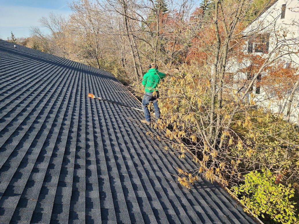 person trimming tree away from house