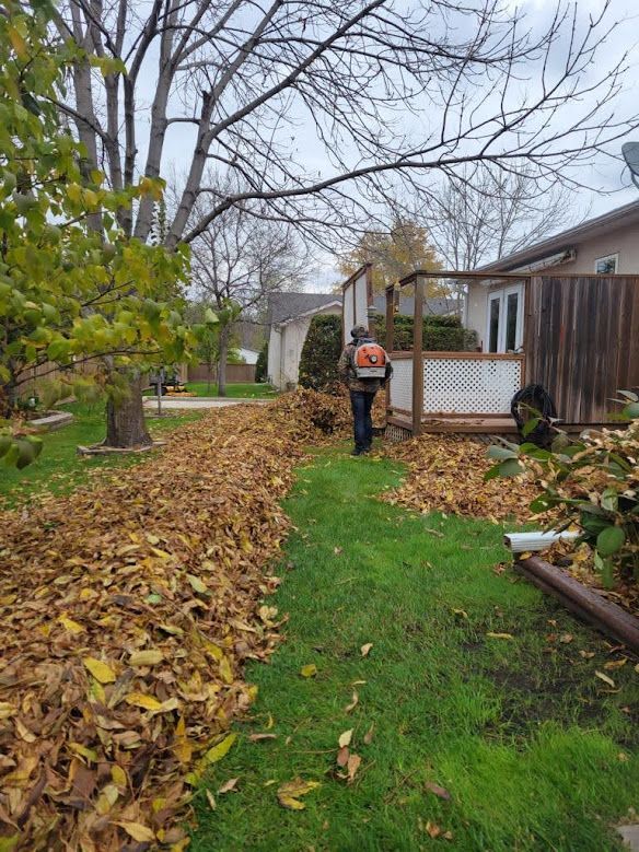 fall leaf removal service