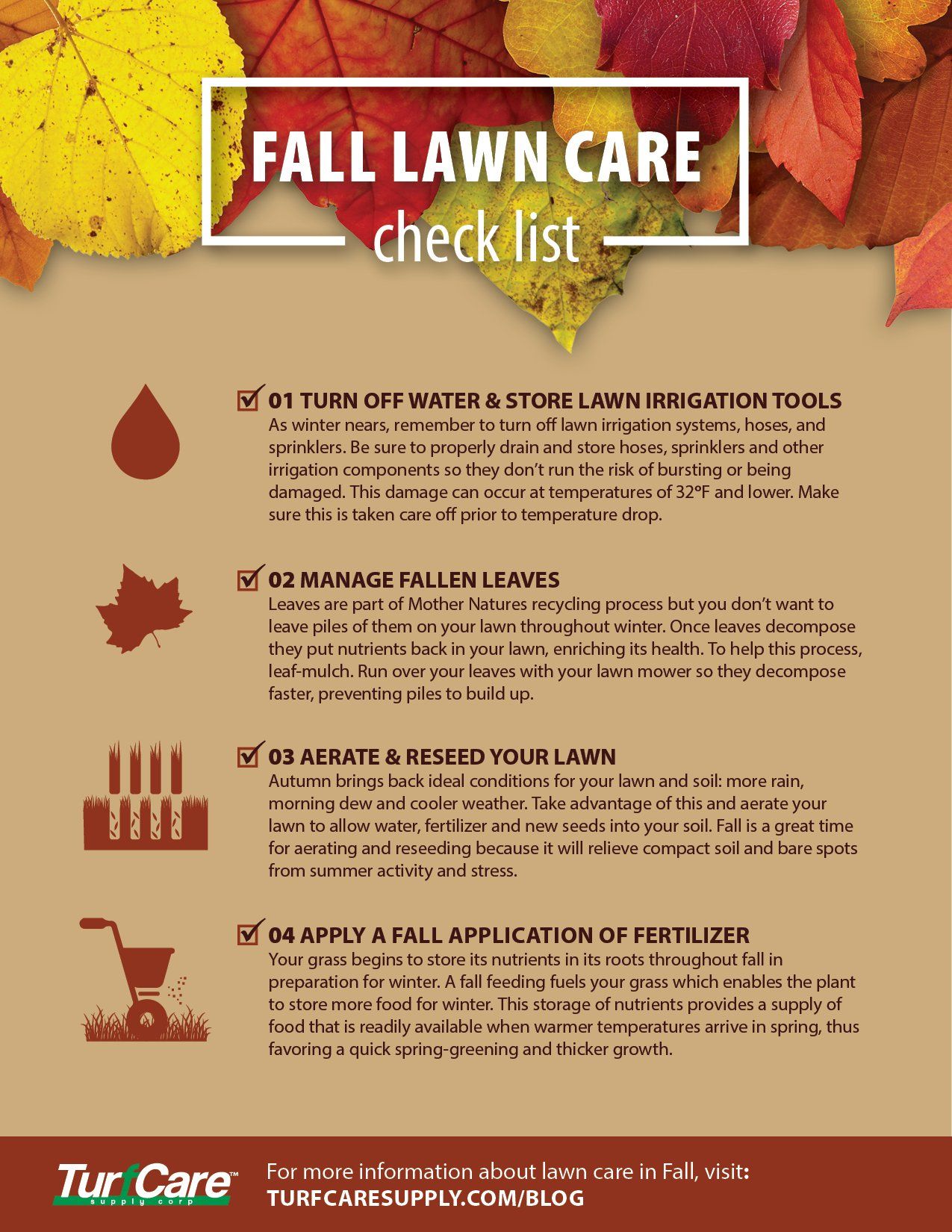 4 step fall lawn care check list