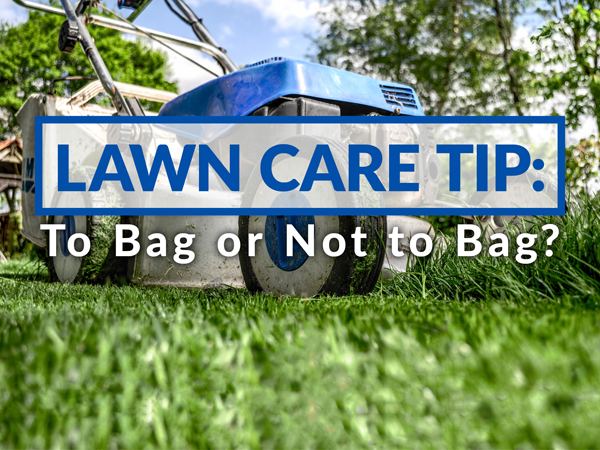 Lawn Care Tip: To Bag or Not to Bag?