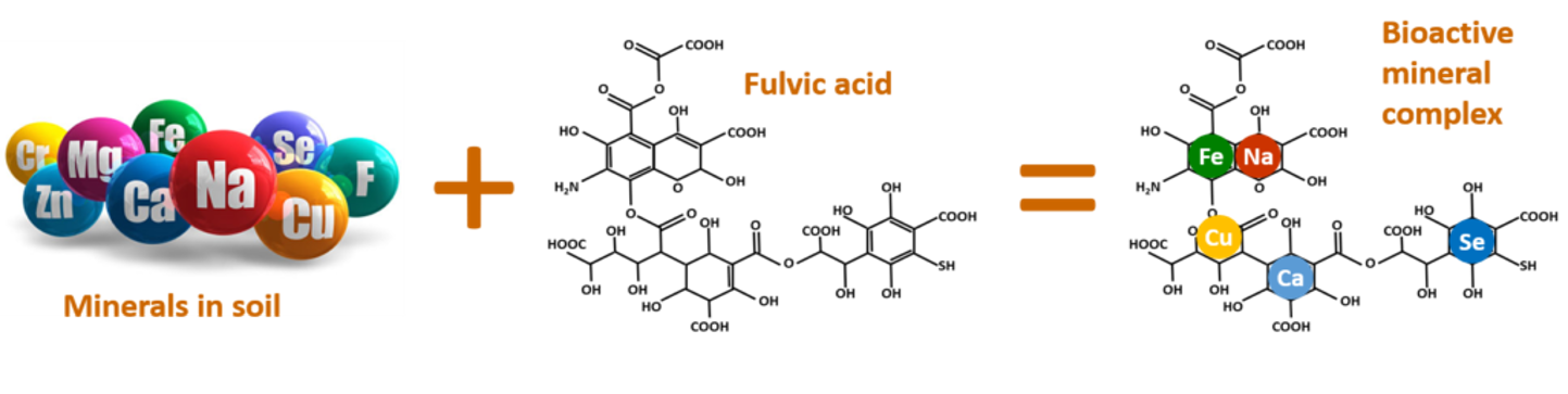 cation exchange capacity fulvic acid chelation