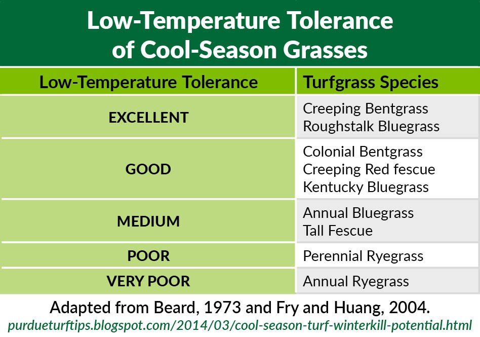low temperature tolerance of cool season grasses