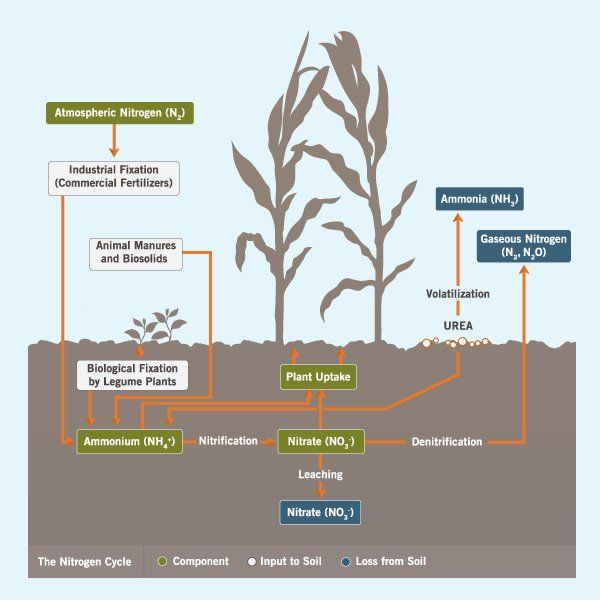 JOE KNOWS! Nitrogen Stabilizers