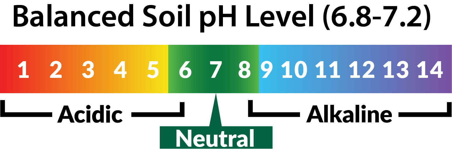 soil ph scale alkaline neutral or acidic