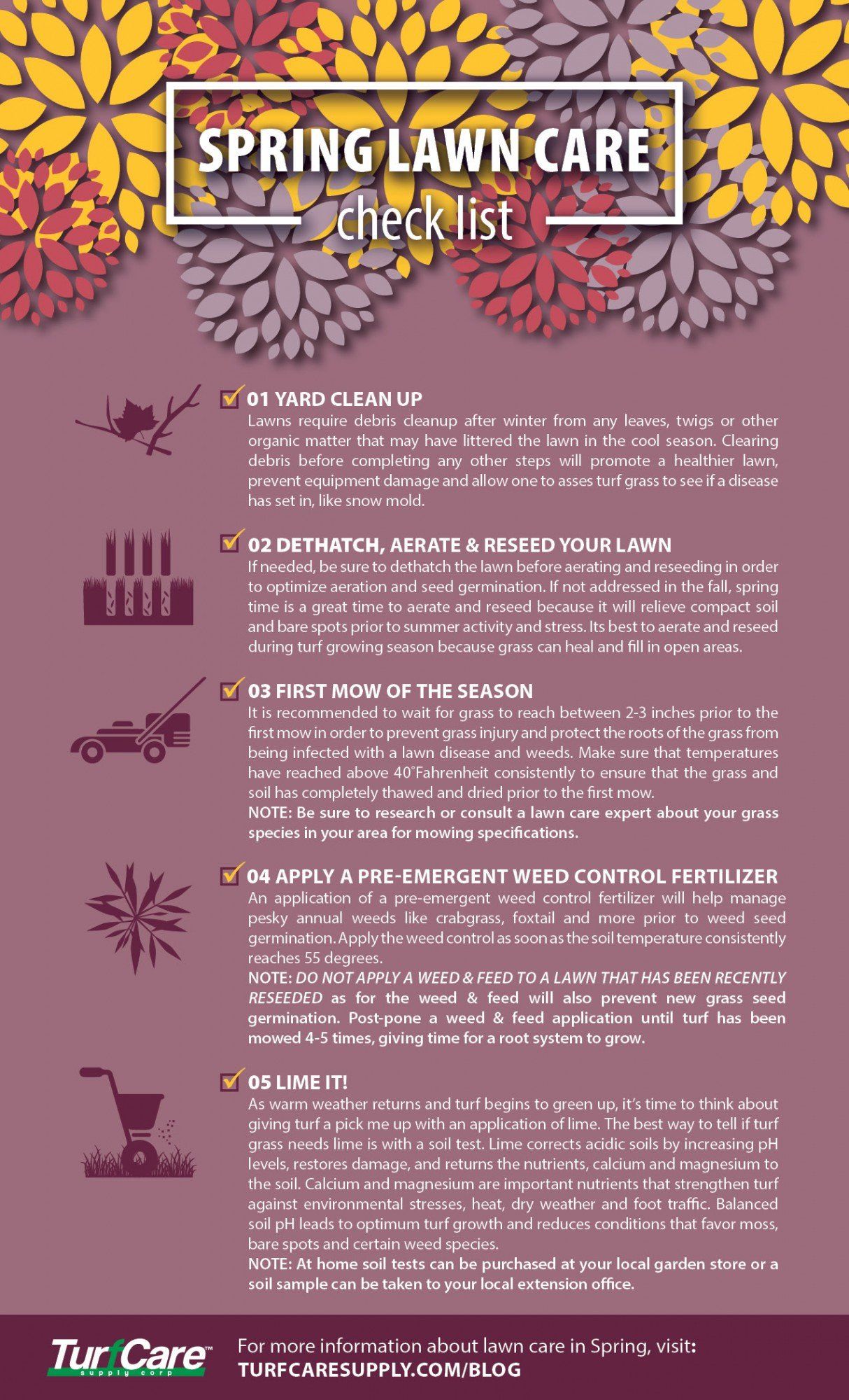 spring lawn care checklist infographic