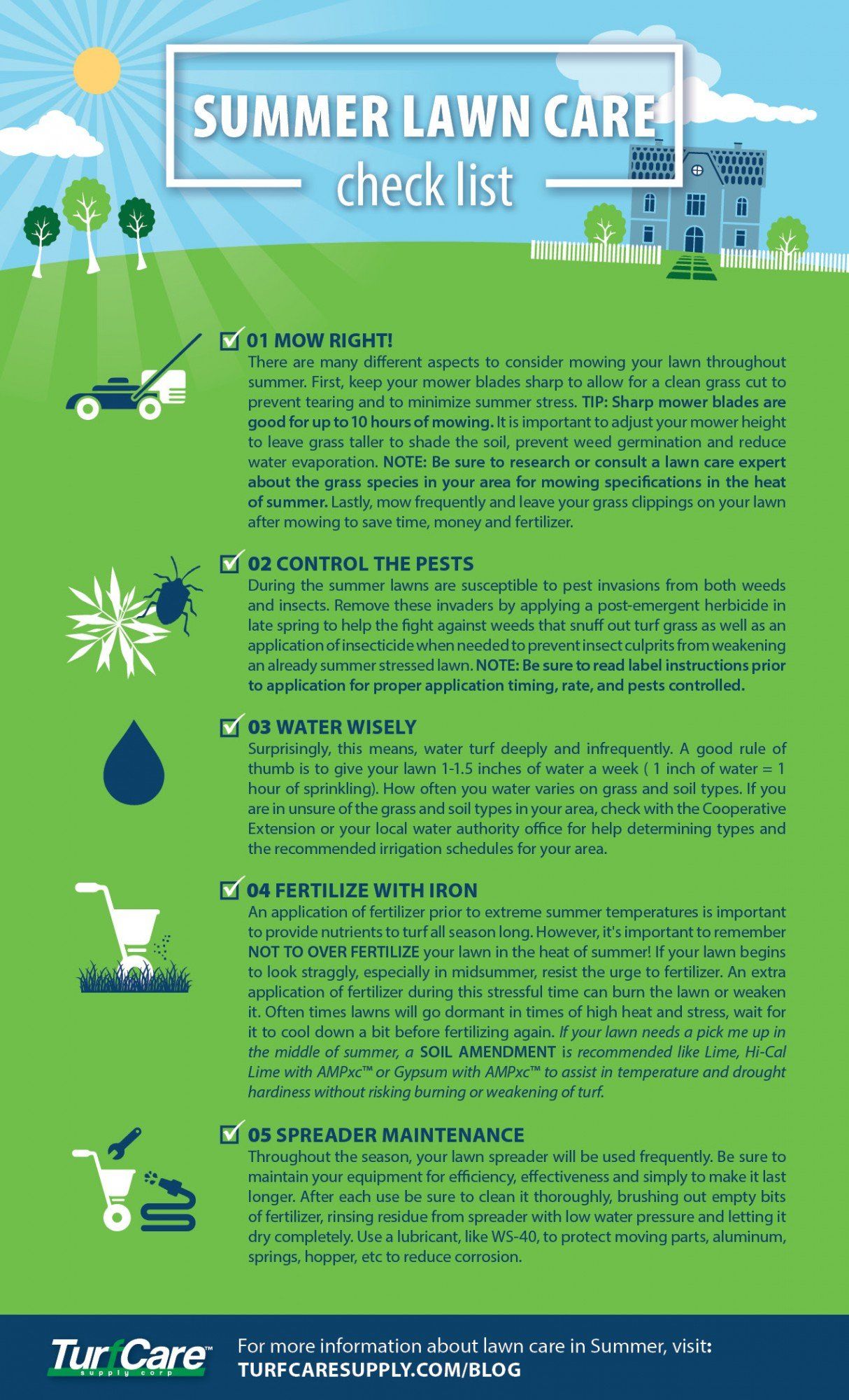 summer lawn care checklist infographic