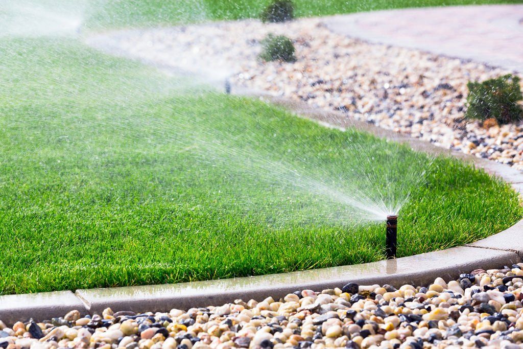 watering fresh sod with lawn sprinkler