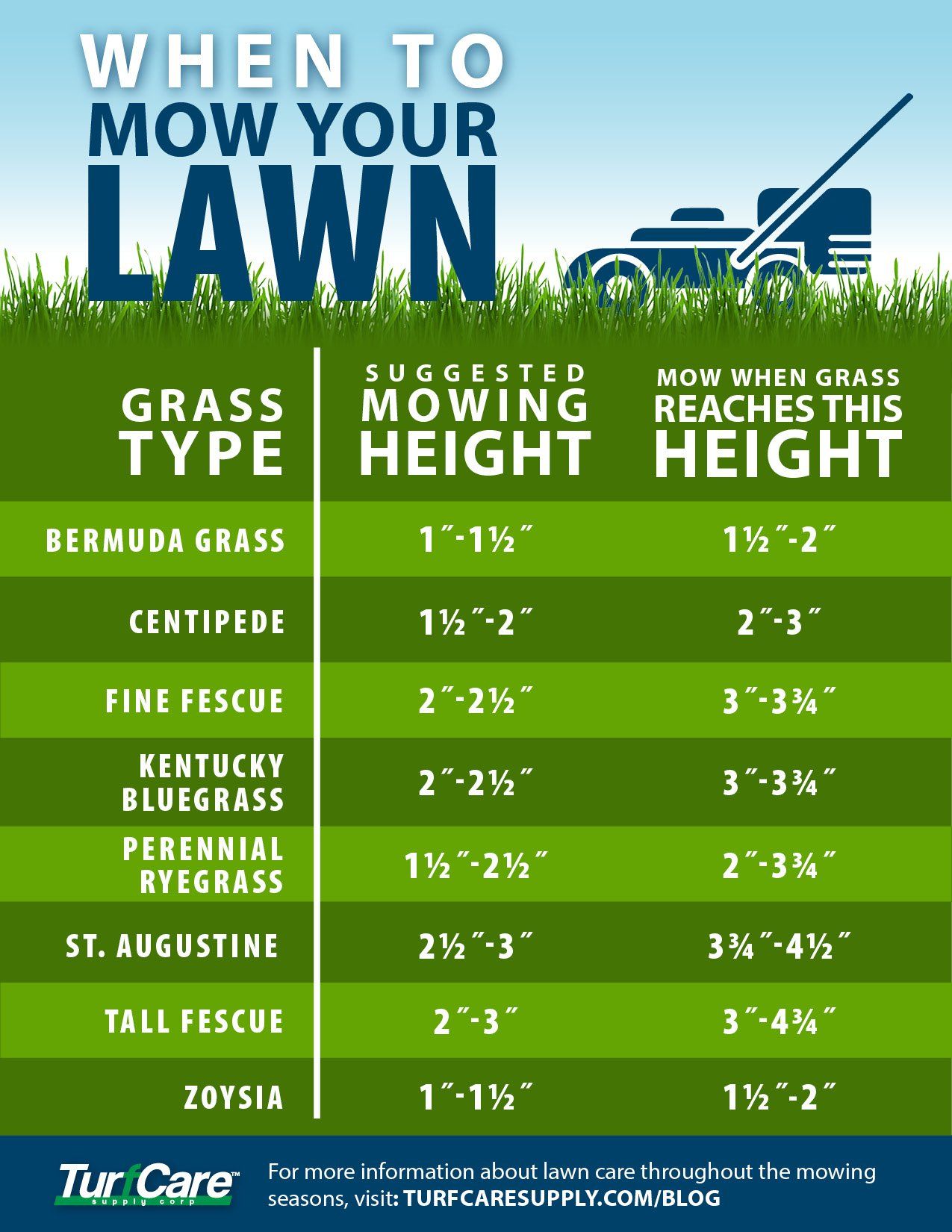when to mow your lawn