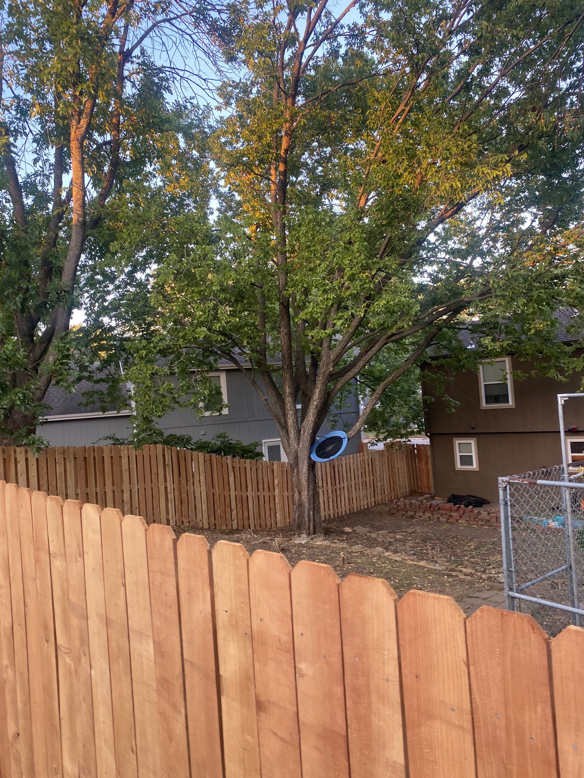 A wooden fence surrounds a backyard with trees and a house in the background.