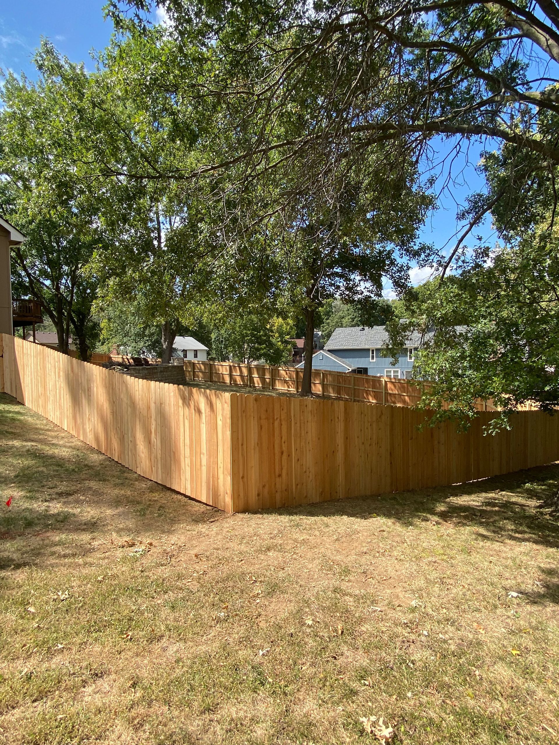 A wooden fence is surrounded by trees in a backyard.