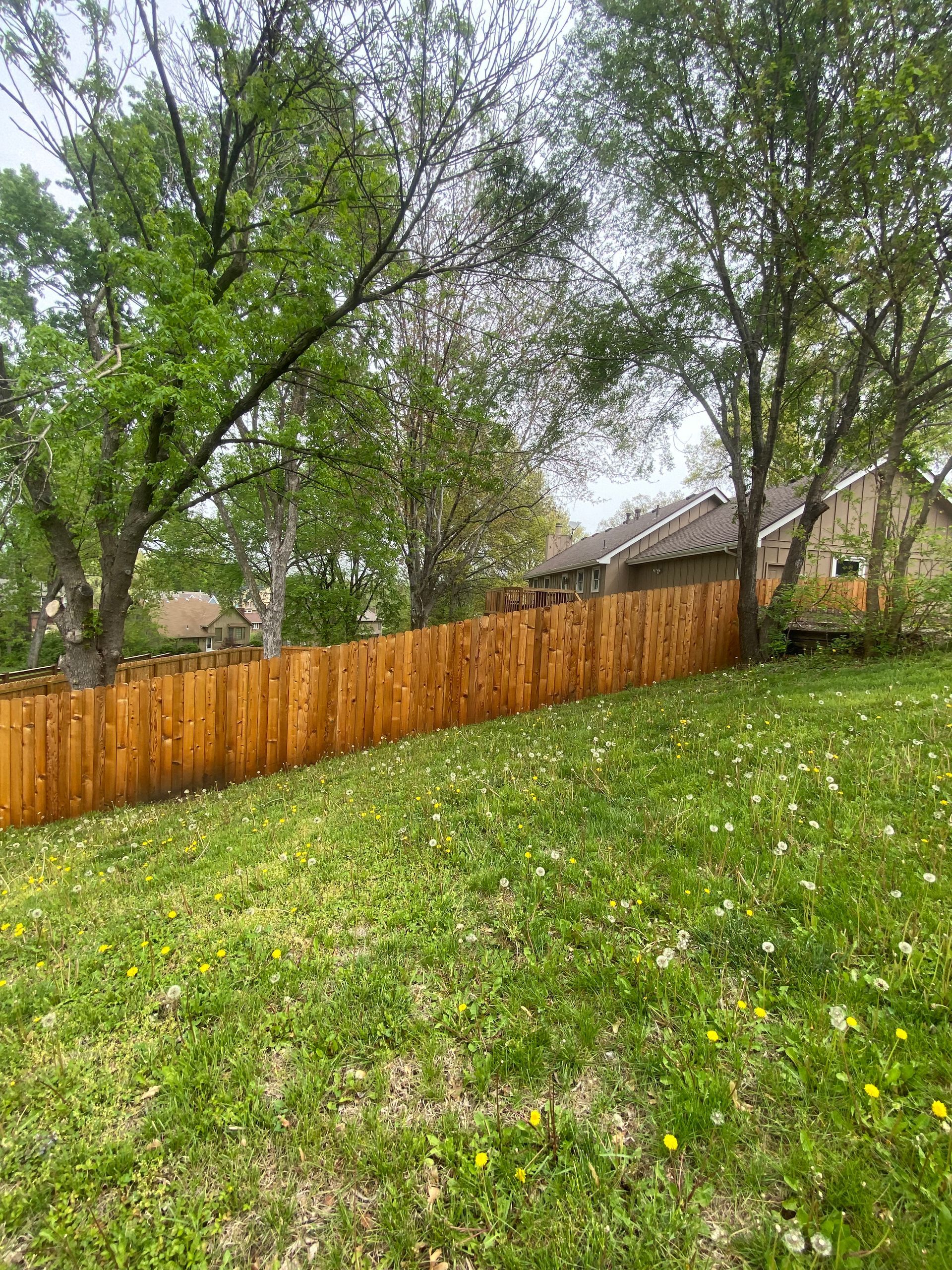 A wooden fence is surrounded by trees and grass in a backyard.