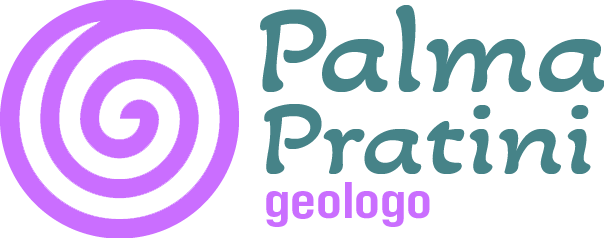 logo palma pratini