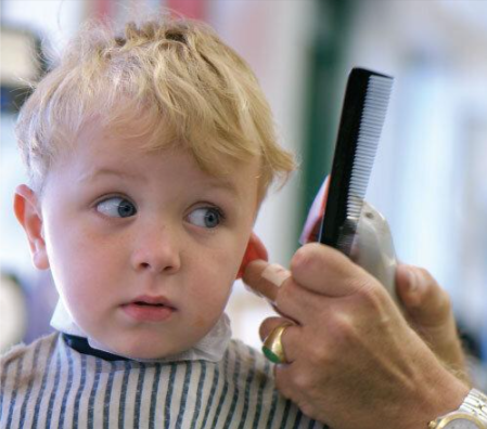 A little boy is getting his hair cut by a barber