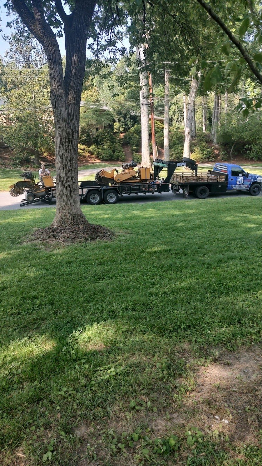 A truck is carrying a tree stump in a park.