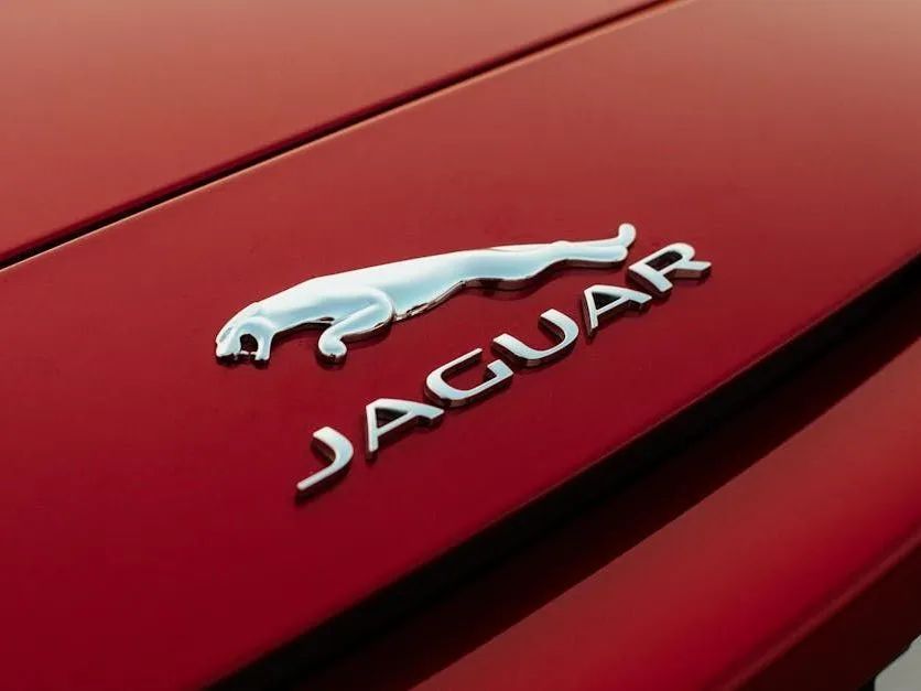 Close-up of a silver Jaguar hood emblem and logo on a red car hood.