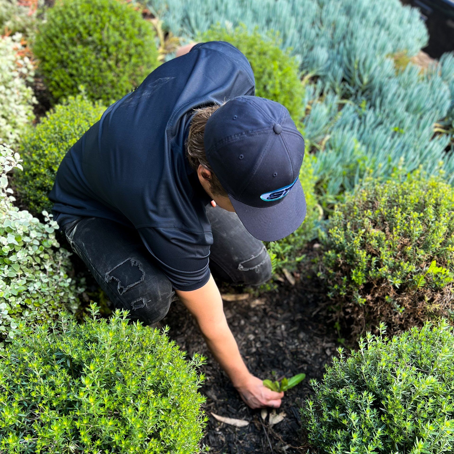 Sydney trade Professionals - landscape services